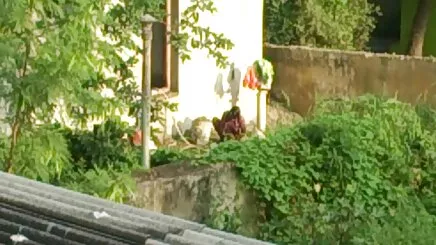Với tóc vàng châu âu châu á skye phim sex co trang ngan