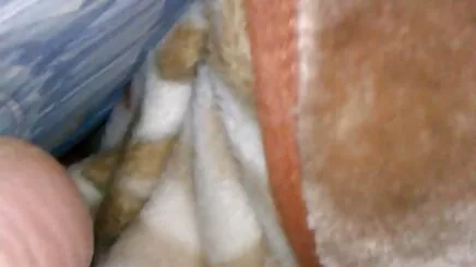 Giày phim co trang dit nhau chơi